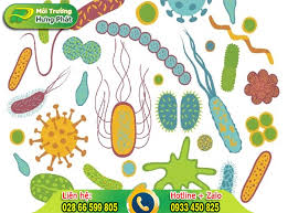 SINH HỌC VI SINH VẬT